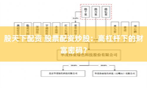 股天下配资 股票配资炒股：高杠杆下的财富密码？